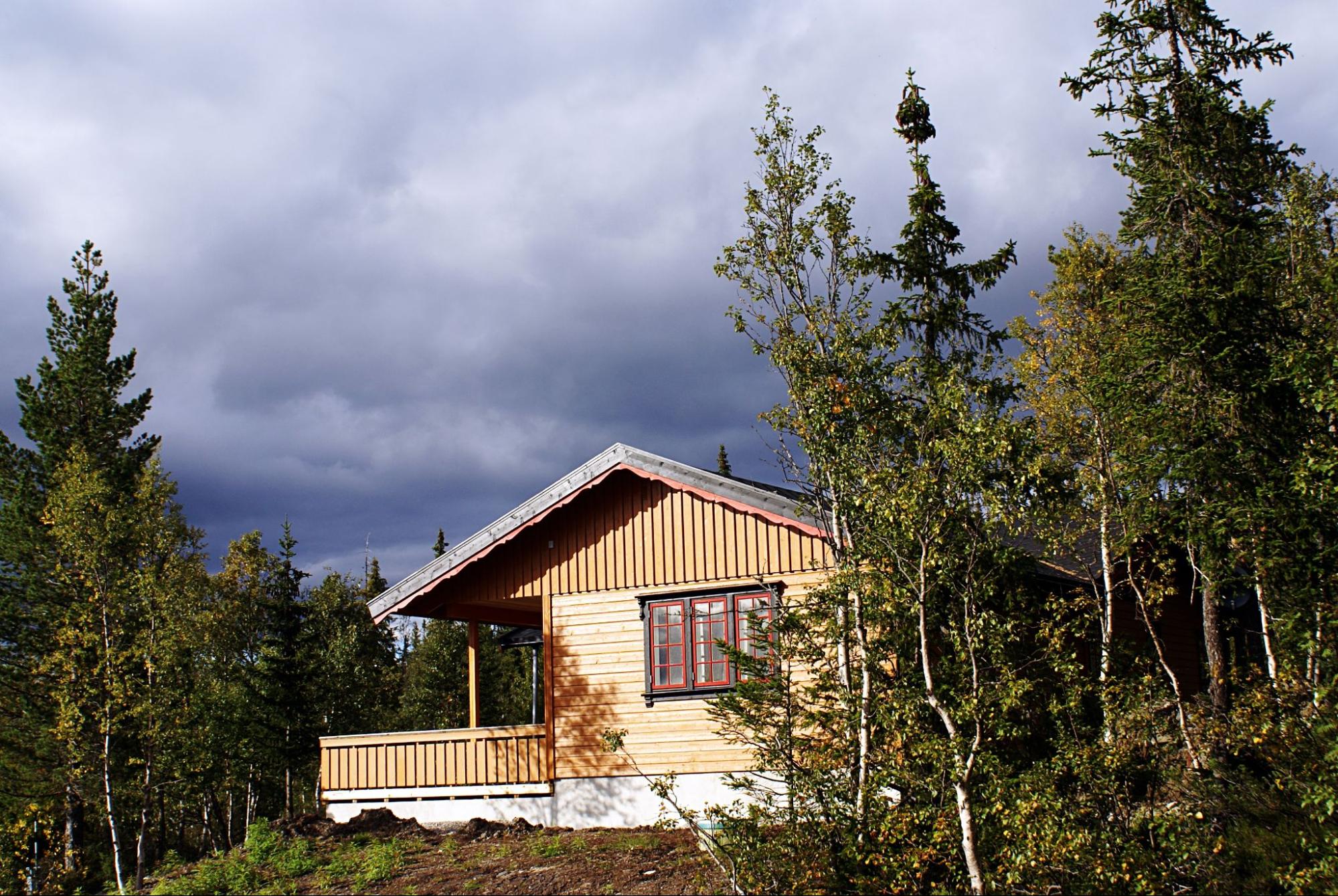 construction-studio-de-jardin construction-studio-de-jardin