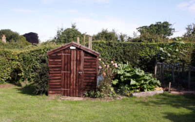 Construire un cabanon en bois : notre guide complet