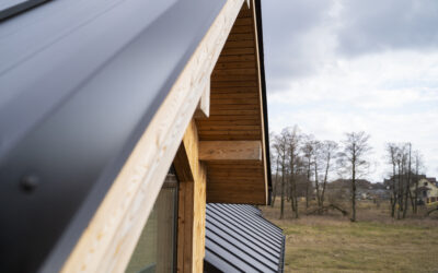 Quel bois choisir pour une extension de maison ?